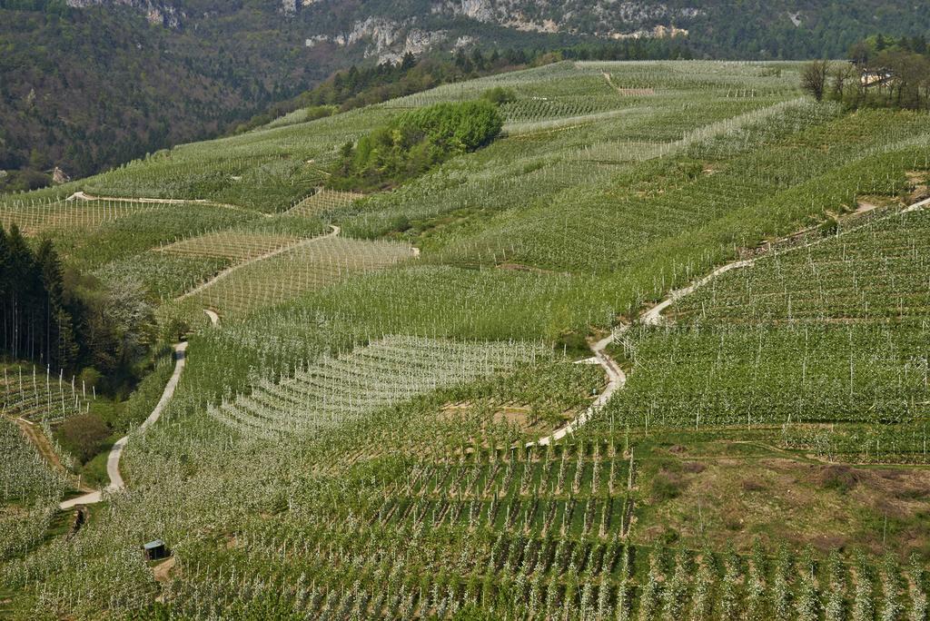 B&B La Casa Del Sole San Michele allʼAdige エクステリア 写真