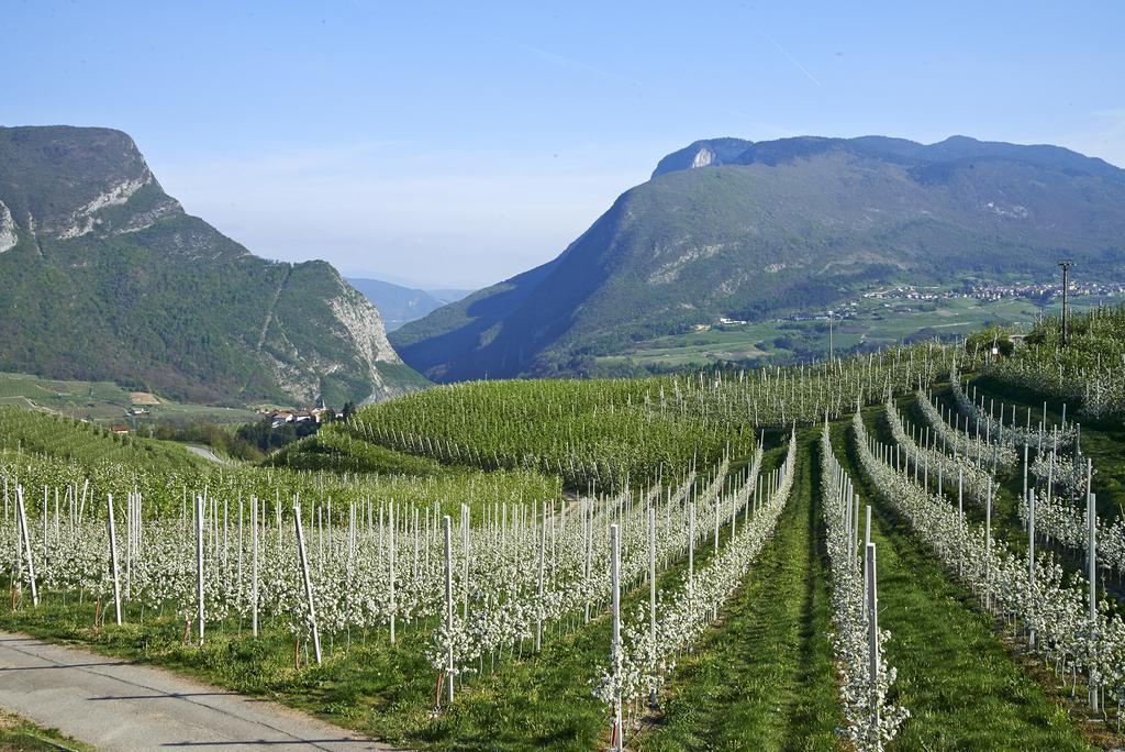 B&B La Casa Del Sole San Michele allʼAdige エクステリア 写真