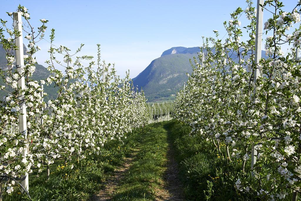 B&B La Casa Del Sole San Michele allʼAdige エクステリア 写真