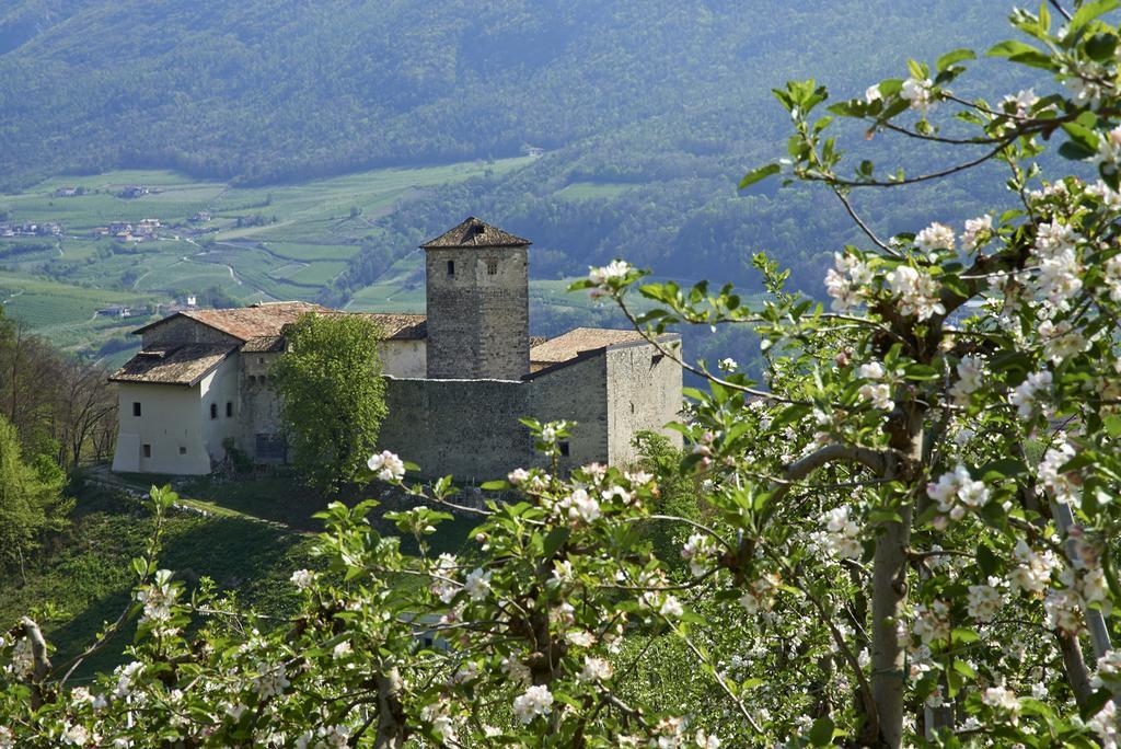 B&B La Casa Del Sole San Michele allʼAdige エクステリア 写真